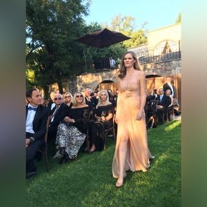 Size 2 BCBG Maxazria blush gown